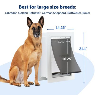 Image showing 5 th PetSafe Wall Entry Pet Door