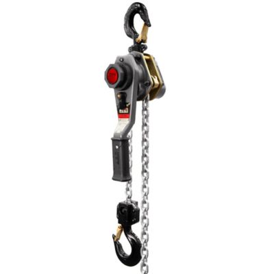 Image showing  3-Ton 20 ft. Lift 1-Phase Electric Chain Hoist, 115V/230V