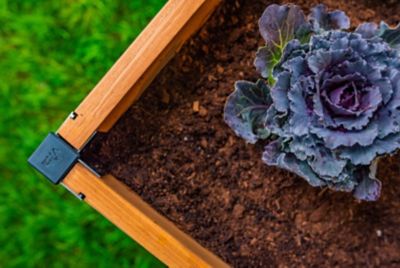 Image showing 5 th Vita Mezza Garden Bed, 4 ft. x 4 ft. x 11 in.