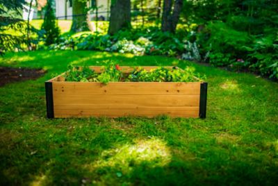 Image showing 6 th Vita Mezza Garden Bed, 4 ft. x 4 ft. x 11 in.
