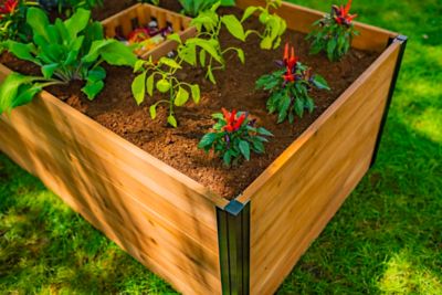 Image showing  Mezza Keyhole Composting Garden 3 x 5ft.