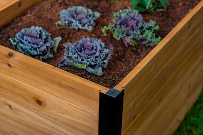 Image showing  Mezza Keyhole Composting Garden 6 x 6ft.