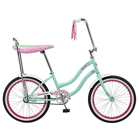 Schwinn Girls' 20 in. Hazel Polo Bicycle, Mint