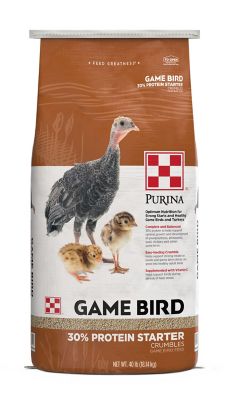 Purina 30% Protein Starter Game Bird and Turkey Feed, 40 lb.