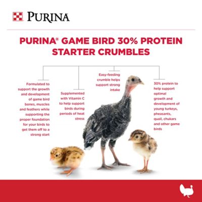 Image showing  30% Protein Starter Crumbles Game Bird and Turkey Feed