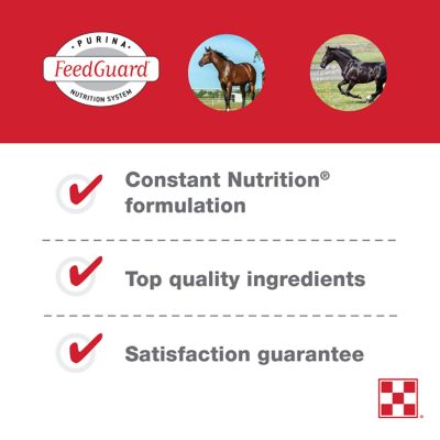 Image showing  EquiTub with ClariFly Horse Supplement