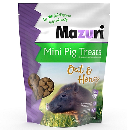 Mazuri Oat and Honey Mini-Pig Treats, 6 lb. Pouch