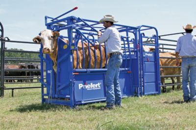 Image showing  Economy Squeeze Chute with HG91