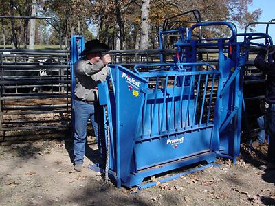 Image showing  Calf Table for Calves Up To 450 lb.