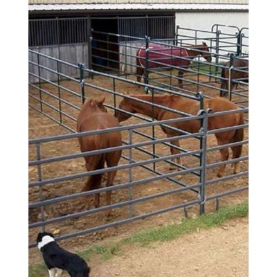 Image showing  12 ft. x 5 ft. Premier Cattle Panel