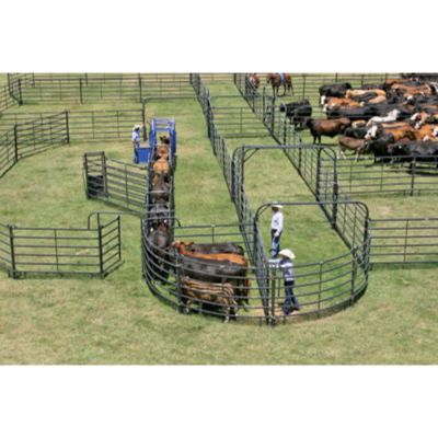 Image showing  12 ft. x 7 ft. Premier Walk-Thru Cattle Panel with Gate