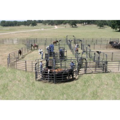Image showing  12 ft. x 7 ft. Premier Walk-Thru Cattle Panel with Gate
