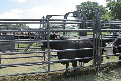 Image showing  Universal Alley Stop
