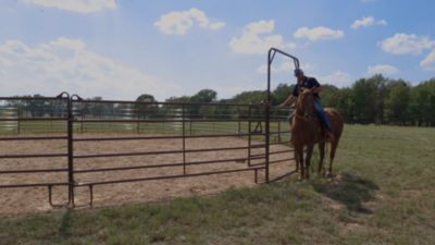Image showing  12 ft. Utility Panel with Walk-Thru Gate