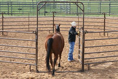 Image showing  6 ft. x 9 ft. 6-Bar Utility Bow Gate