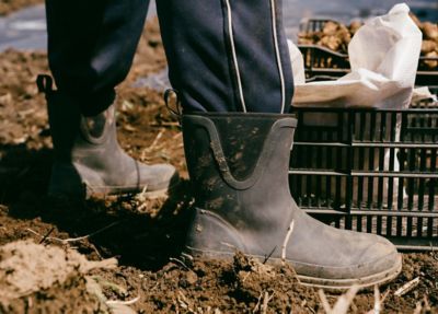 Image showing 6 th Muck Boot Company Men's Originals Pull-On Mid Rubber Rain Boots