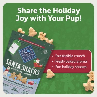 Image showing  Santa Snaks Oatmeal & Cinnamon Biscuits