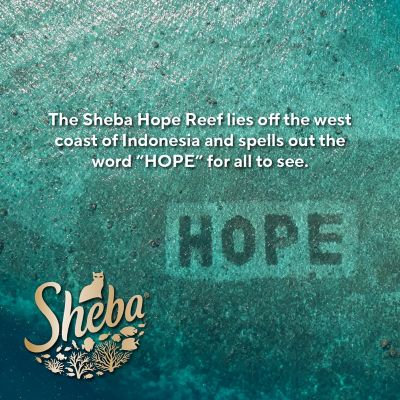 Image showing 7 th Sheba Perfect Portions Cuts In Gravy Savory Mixed Grill Entree Wet Cat Food, 2/2.6 oz.