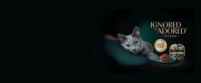 Image showing  Perfect Portions Premium Pate Gourmet Chicken & Tuna Entree Wet Cat Food, 2/2.6 oz.