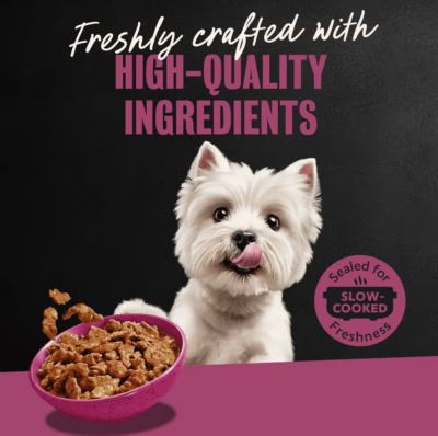 Image showing  Small Breed Adult Prime Rib Filets in Gravy Wet Dog Food, 3.5 oz.