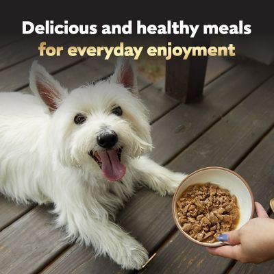 Image showing 5 th Cesar Adult Small Breed Prime Rib Filets in Gravy Wet Dog Food, 3.5 oz.