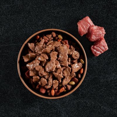 Image showing 6 th Cesar Adult Small Breed Prime Rib Filets in Gravy Wet Dog Food, 3.5 oz.