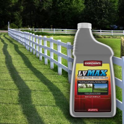 Image showing  1 qt. LV MAX Fast-Acting Weed Killer