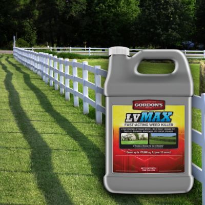 Image showing  1 gal. LV MAX Fast-Acting Weed Killer