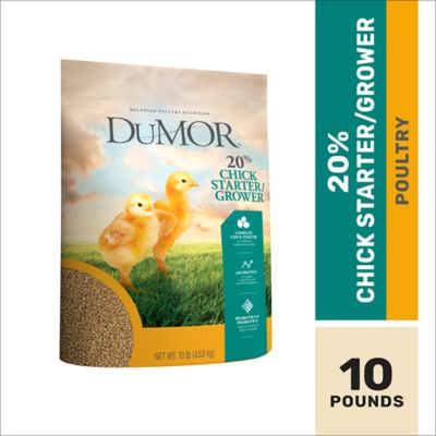 DuMOR Starter 20% Poultry Feed, 10 lb