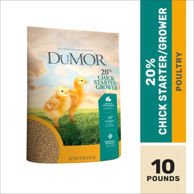 DuMOR 20% Chick Starter/Grower Poultry Feed, 10 lb.