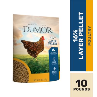 DuMOR 16% Layer Pelleted Chicken Feed, 10 lb. Bag