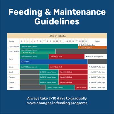 Image showing  16% Layer Pelleted Chicken Feed