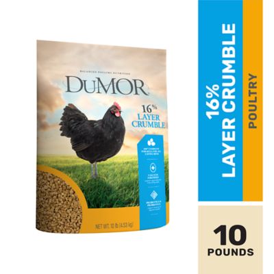 DuMOR 16% Layer Crumbled Chicken Feed, 10 lb. Bag