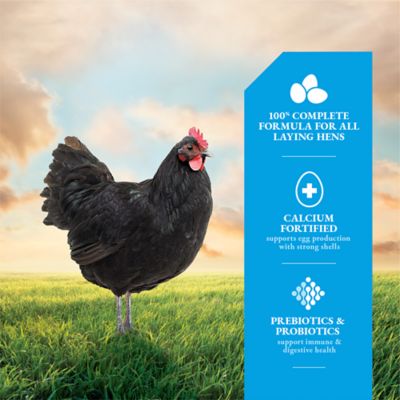 Image showing  16% Layer Crumbled Chicken Feed