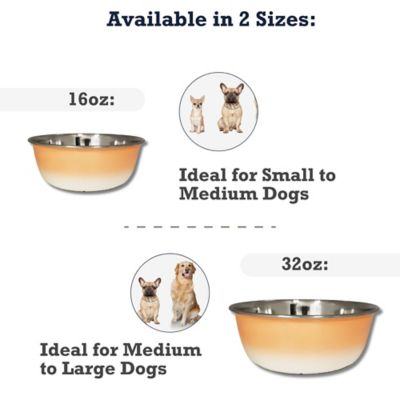JoJo Modern Pets Deep Dishwasher Safe Durobolz Dog Bowl with Rubber ...