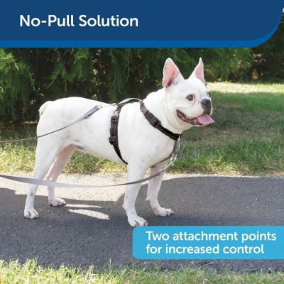 Image showing  3-in-1 Reflective Dog Harness with 2 pt. Control Leash