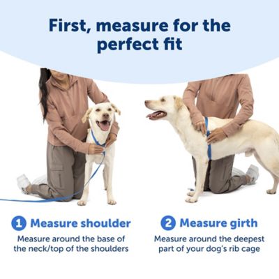 Image showing 5 th PetSafe 3-in-1 Reflective Dog Harness with 2 pt. Control Leash