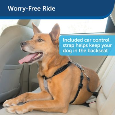 Image showing  3-in-1 Reflective Dog Harness with 2-Point Control Leash