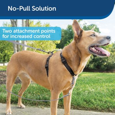 Image showing  3-in-1 Reflective Dog Harness with 2-Point Control Leash