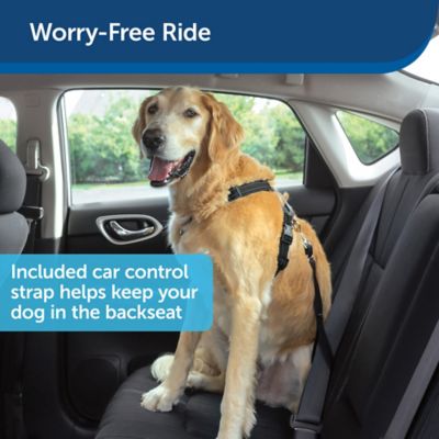 Image showing  3-in-1 Reflective Dog Harness with 2-Point Control Leash