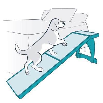 Image showing  CozyUp Pet Ramp for Dogs Up to 120 lb., White