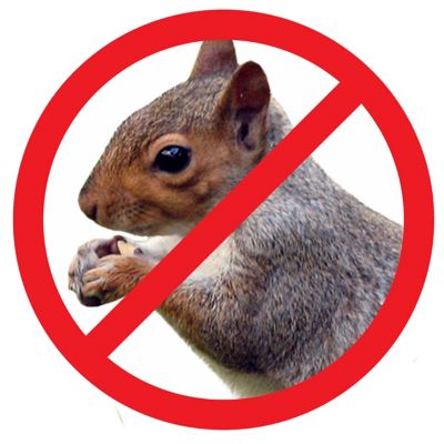 Image showing  Universal Hanging Baffle