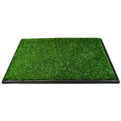 Image showing  Grass Potty Turf System for Dogs and Puppies, 20 in. x 30 in.