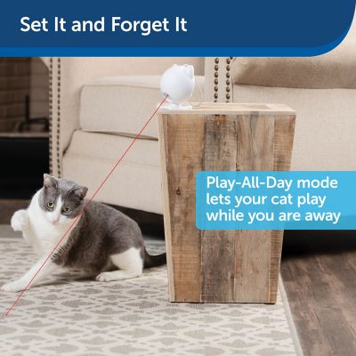 Image showing  Dancing Dot Laser Interactive Cat Toy