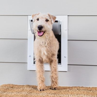 PetSafe Wall Entry Pet Door - 1530706 at Tractor Supply Co.