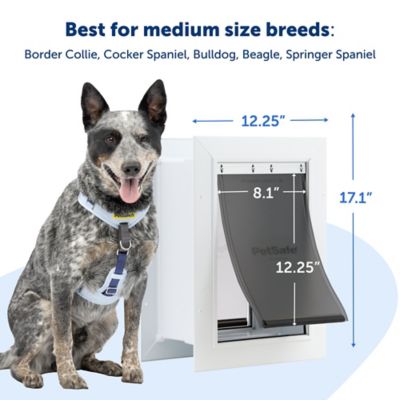 Image showing 5 th PetSafe Wall Entry Pet Door