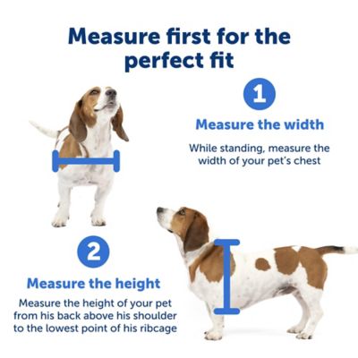 Image showing 6 th PetSafe Wall Entry Pet Door