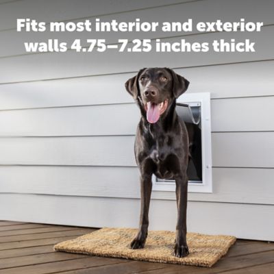 Image showing 8 th PetSafe Wall Entry Pet Door