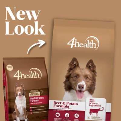 Image showing  Adult Beef and Potato Formula Dry Dog Food