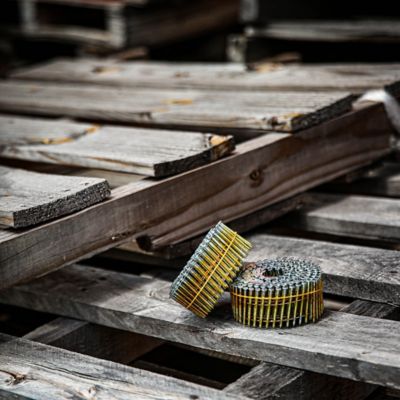 Image showing 6 th Freeman 15 deg. 1-3/4 in. Wire Collated Galvanized Ring Shank Coil Siding Nails, 3600 ct.